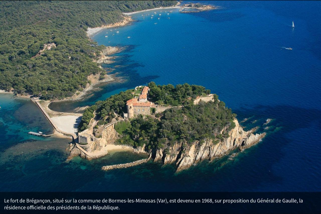 Lou Gecko * Hyeres