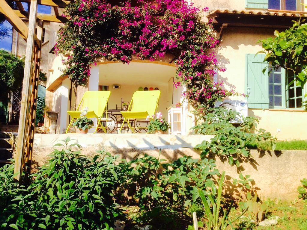Lou Gecko Holiday home *